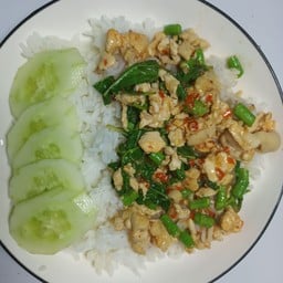 กระเพราไก่ราดข้าว