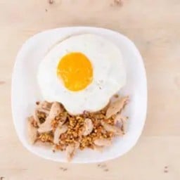 ทอดกระเทียมราดข้าว