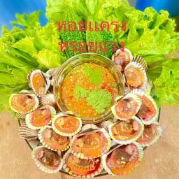 หอยแครง หรอยแรง