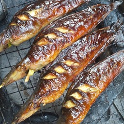 ปลาดุกย่าง