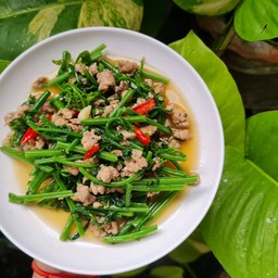 ผักกูดผัดน้ำมันหอย