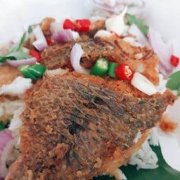 ร้านบ้านเรา