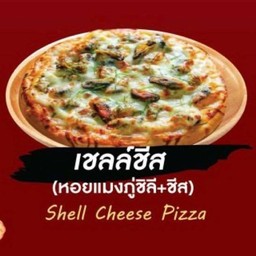 เชลล์ชีส