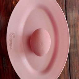 ไข่เยี่ยวม้า