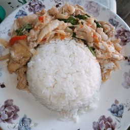 พอเเดกได้&อาหารป่า