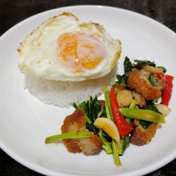 ข้าวราดคะน้าน้ำมันหอย