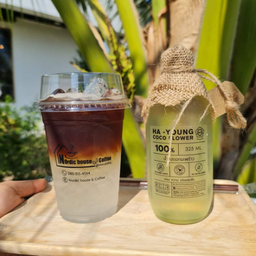 นอร์ดิกโคฟี่