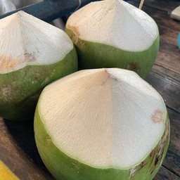 พร มะพร้าวน้ำหอม