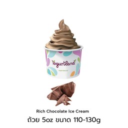 Rich Chocolate Ice Cream