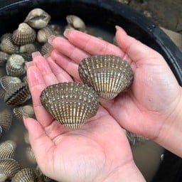 ครัวคุณหน่อย