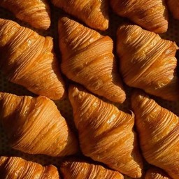 Plain Criossant