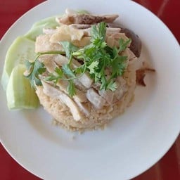 ข้าวมันไก่_ไก่ทอด กระเพรา หมู ไก่