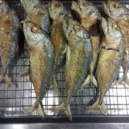 ปลาทูแม่กลองทอด