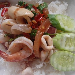 กระเพาทะเล