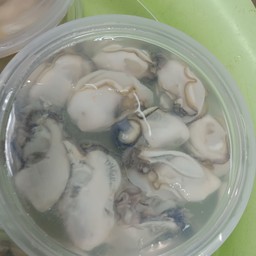 หอยนางรมกระปุก