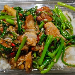 ข้าวราดผัดผักบุ้งหมูกรอบ