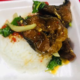 ข้าวกะเพราปลาดุกกรอบ