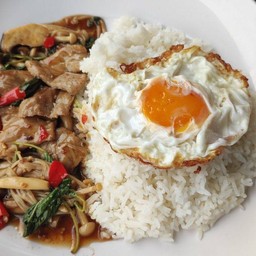 ข้าวราดกะเพราหมูหมักเห็ดรวม