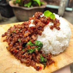 กะเพรา พริกแห้งหอม เลือกง่าย-Good's Choice.