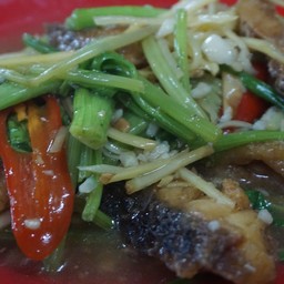 ปลากระพงผัด