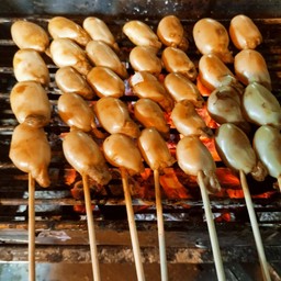 My หมึกย่าง
