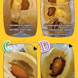 หมอนทองคล้องใจ (ปากทางออกโลตัสโฮมโปร) สาขา1