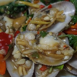 หอยลายผัดฉ่า