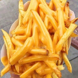 Frenchfries cheese