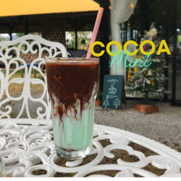 Cocoa mint