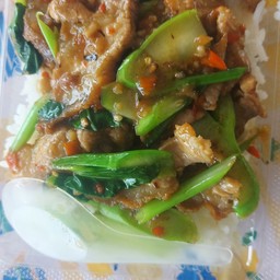 ผัดคะน้าหมูกรอบราดข้าว