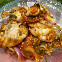 ยำหอยใหญ่  ตลาดโต้รุ่ง (ลาดสวาย)