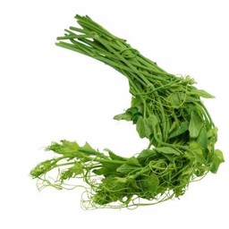 ยอดมะระหวานผัดน้ำมันหอย