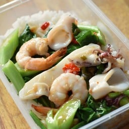 คะน้าทะเล