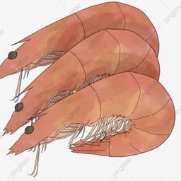 มิสเตอร์ทาโกะยากิ/ตลาดรุ่งโรจน์นาเกลือ