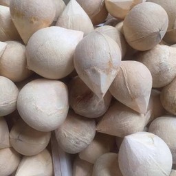 มะพร้าว