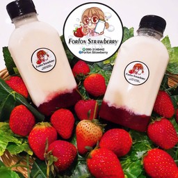 Forfon Strawberry