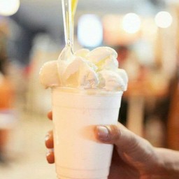 หมีแข็ง