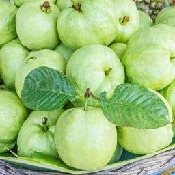 ฝรั่งกิมจู