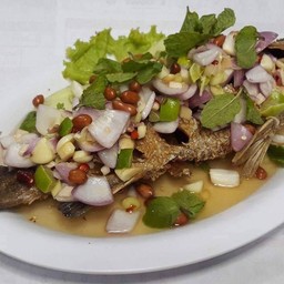 ปลาช่อน3k