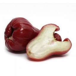 ชมพู่ทับทิมจันท์