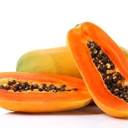 มะละกอฮอลแลนด์