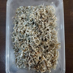 지리멸치 fried Aanchovy