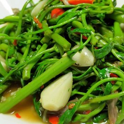 ข้าวราด กระเฉดอ๊อนอ่อน