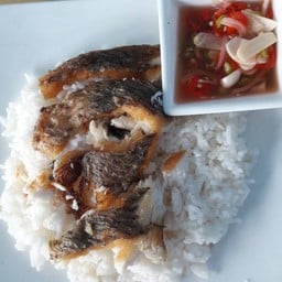 ร้านข้าวปลาแกะ ซ.โพธิสาร 6