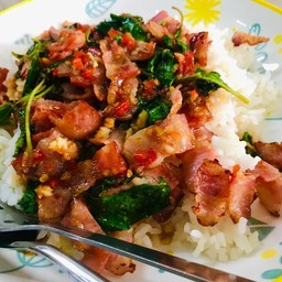 ข้าวกระเพราเบคอน