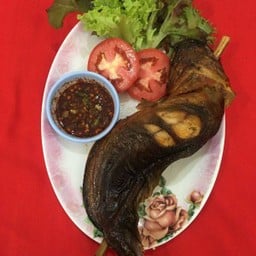 ปลาดุกย่าง