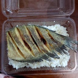ข้าวหน้าปลาทอด