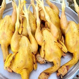 ไก่บ้าน