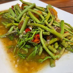 กระเฉดไฟแดง