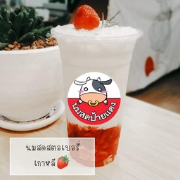 นมสดสตอฮอกไกโดร